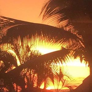 Meet your Posher, Soledad